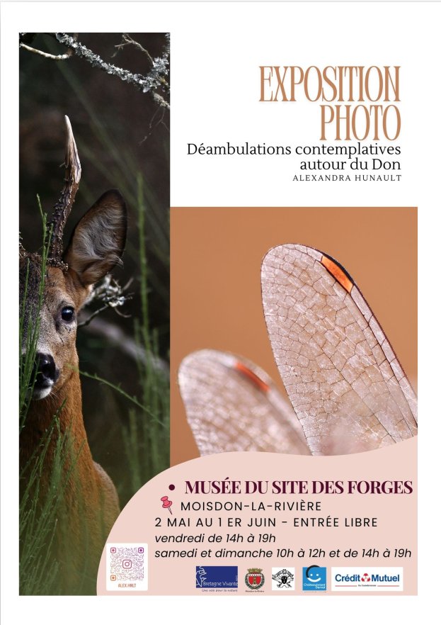 Exposition Photo